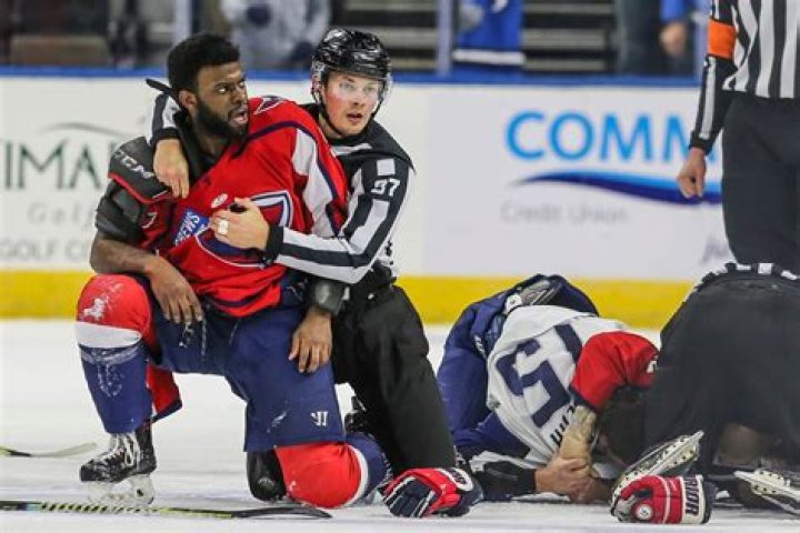 
Jacob Panetta Racist Gesture Against Jordan Subban – What Did He Say? 