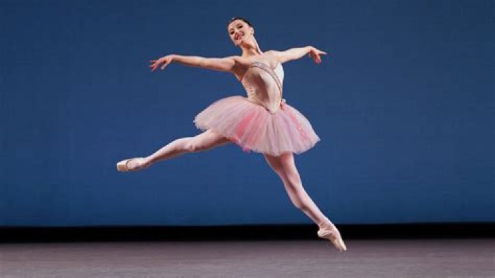 
Maria Cecchi Quit Her Job As A Dancer To Give Emphasis To Boxing- Her Wikipedia Details Explored 