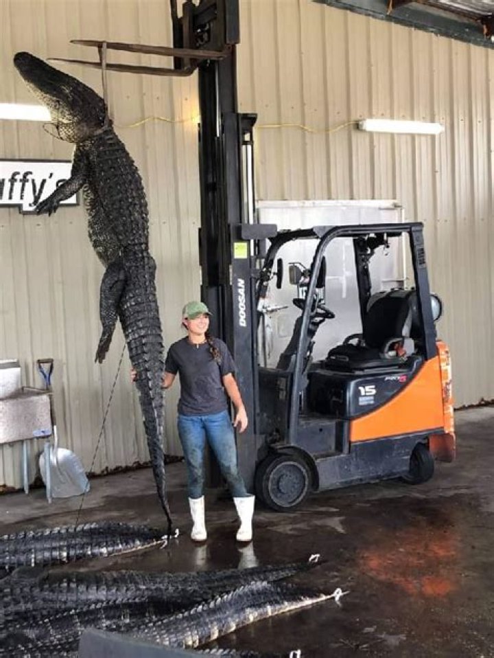Saluda Camp Height, Weight, Net Worth, Age, Birthday, Wikipedia, Who, Instagram, Biography